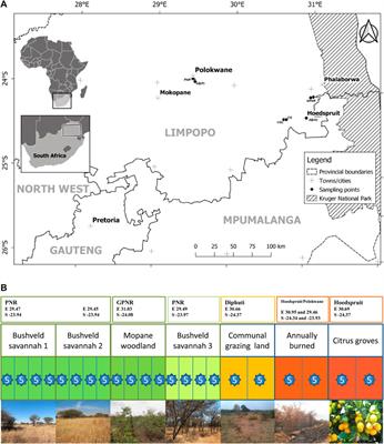 Effect of land use on carbon-, nitrogen- and silica soil stocks in the South African bushveld